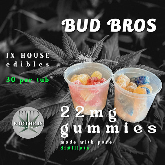 Bud Brothers – 22mg Distillate Gummies Tubs (30 Piece)