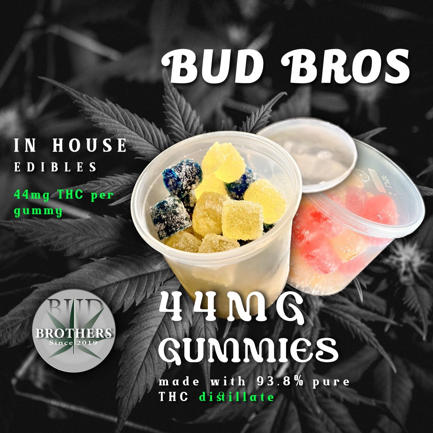 Bud Brothers – 44mg Distillate Gummies Tubs (30 Piece)